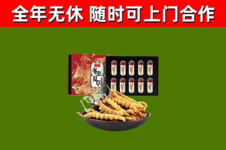 九龙烟酒回收冬虫夏草礼盒.jpg