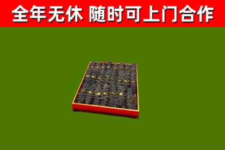 九龙回收海参
